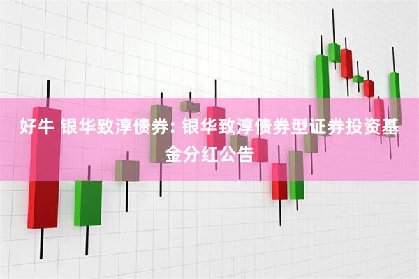 好牛 银华致淳债券: 银华致淳债券型证券投资基金分红公告