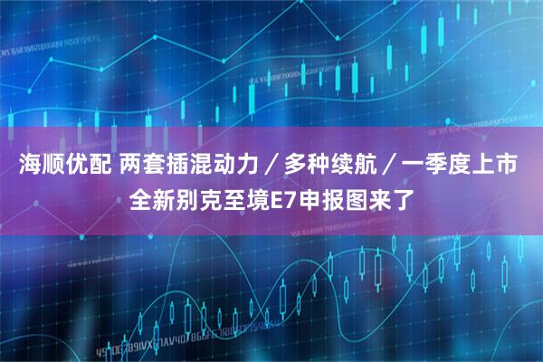 海顺优配 两套插混动力／多种续航／一季度上市 全新别克至境E7申报图来了