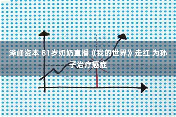 泽峰资本 81岁奶奶直播《我的世界》走红 为孙子治疗癌症