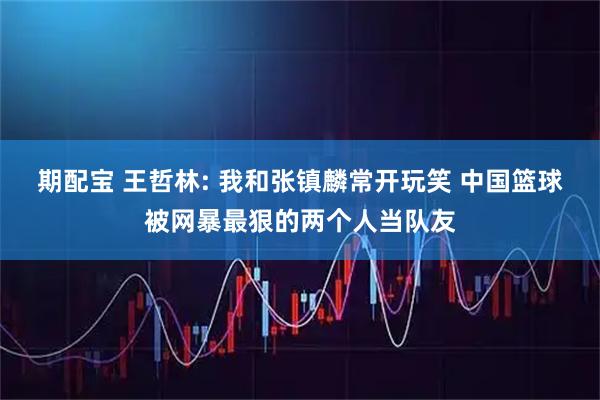 期配宝 王哲林: 我和张镇麟常开玩笑 中国篮球被网暴最狠的两个人当队友